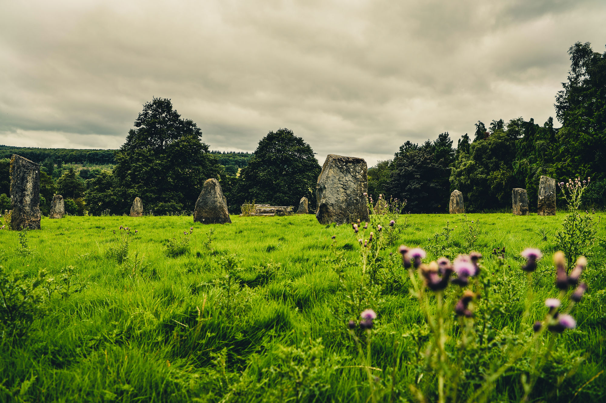 Ruthin Castle Hotel And Spa Bagian luar foto